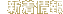 新着情報